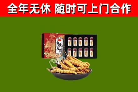 二七烟酒回收冬虫夏草礼盒.jpg